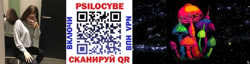 Псилоцибиновые грибы MAGIC MUSHROOMS  закладка  Александровск 