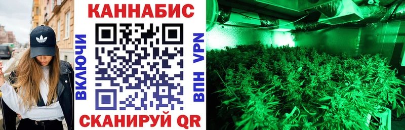 Конопля THC 21%  KRAKEN ссылка  Александровск  купить закладку 